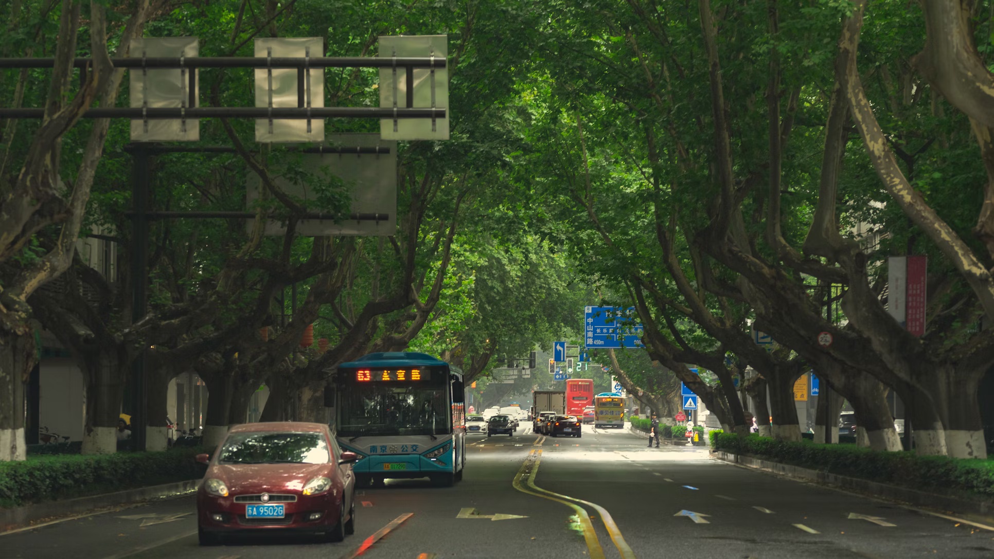南京图4.jpg